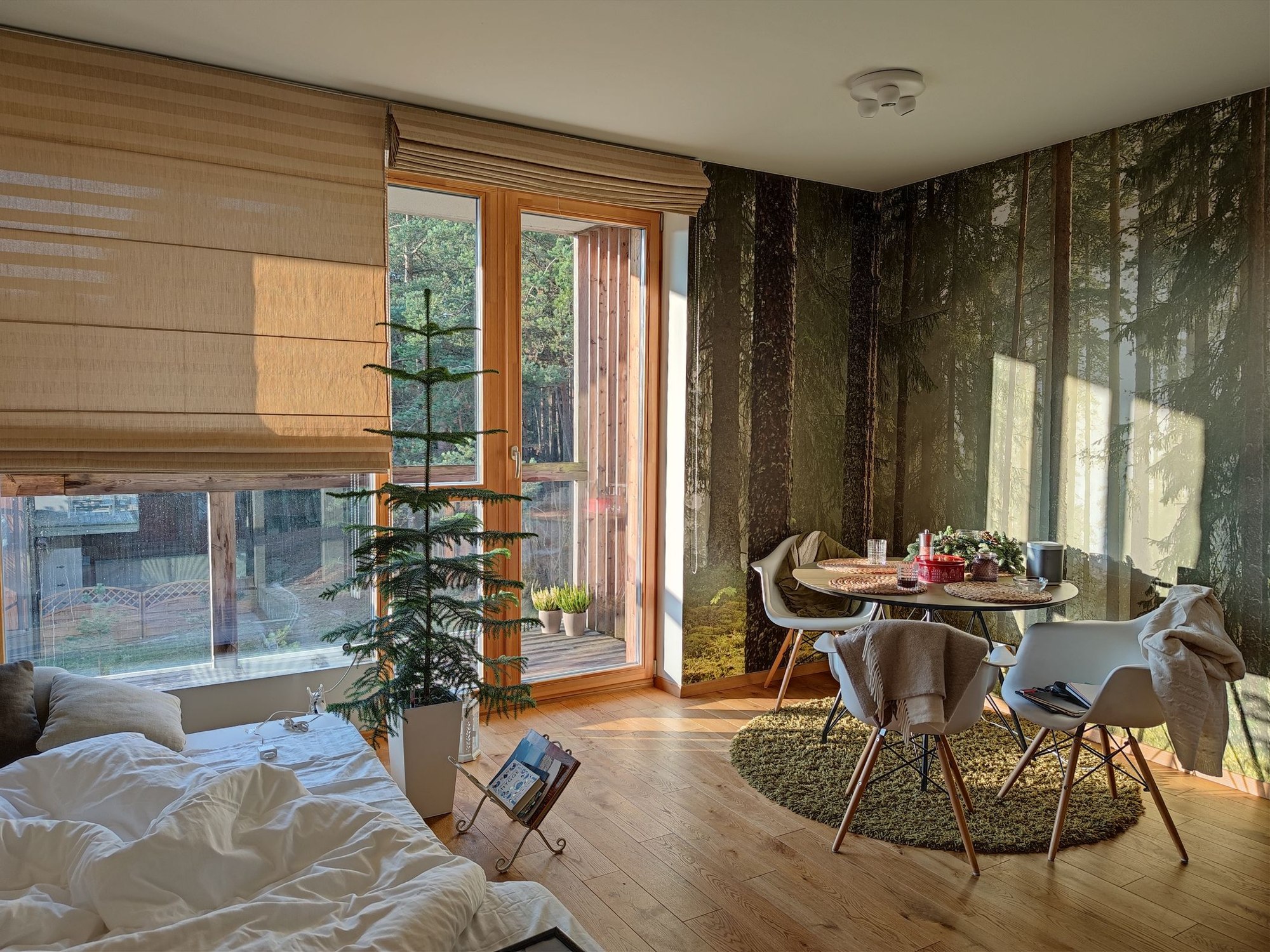 Scandinavian-style room with a forest wallpaper mural beside a sunlit doorway